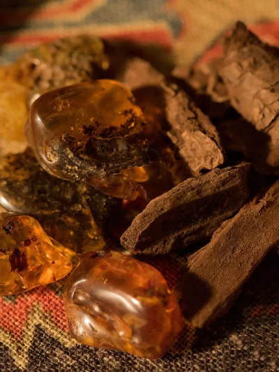 عطر «Gucci Guilty Oud».. تجربة حسية شاملة تتميز بالغموض والأناقة