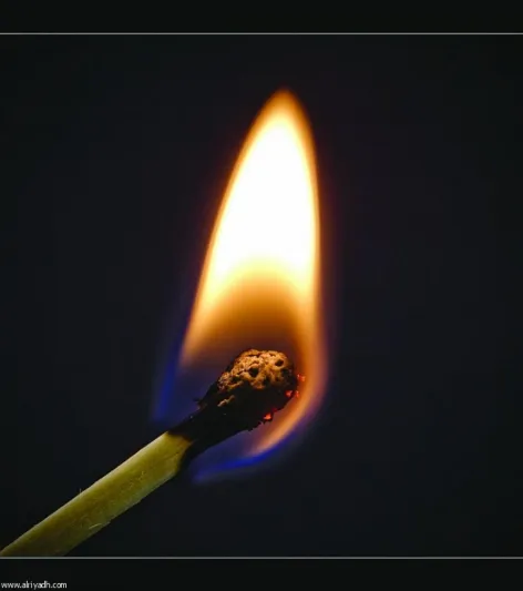 شاهد / الروبوت الثعبان رجل إطفاء المستقبل