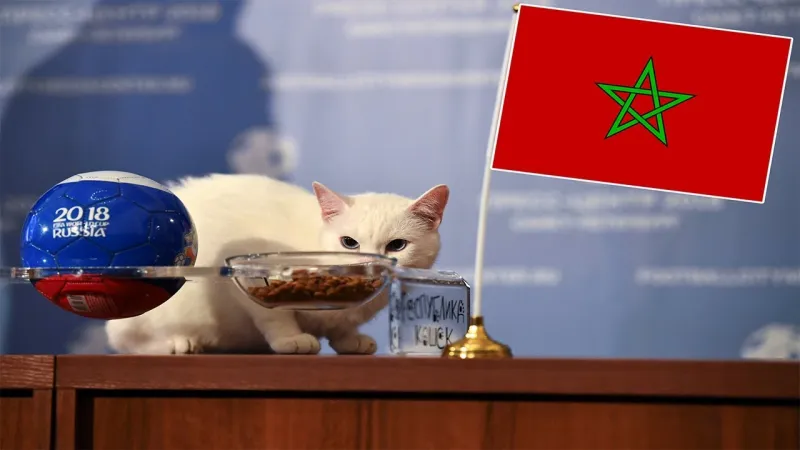 عرّاف المغاربة يتنبأ بنتائج مباريات كأس العالم (فيديو)