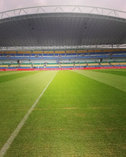 شاهد/ كنغر يقتحم ملعبا ويوقف مباراة نصف ساعة رافضا المغادرة