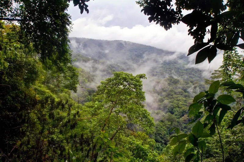 اكتشف جمال فجوة دارين التي تفصل بين الأمريكيتين