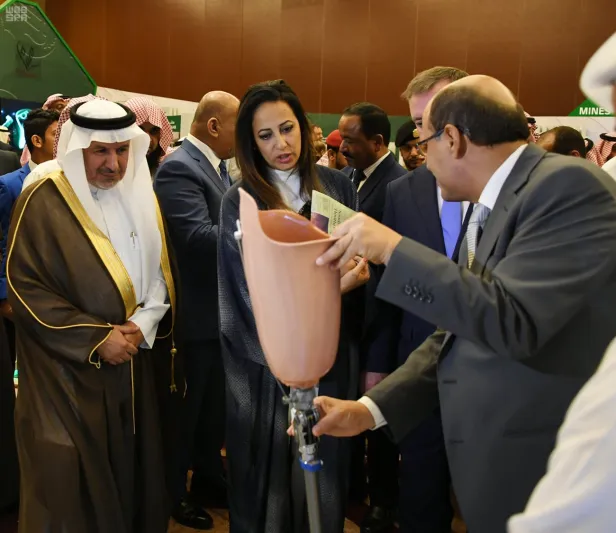 كل ما تحتاج معرفته عن مشروع مسام.. أطلقته السعودية لإنقاذ اليمن من ألغام الحوثيين 