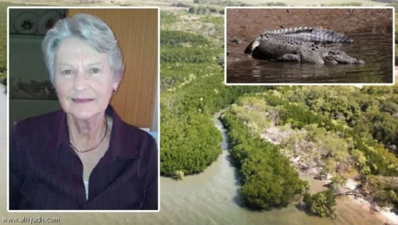 شاهد| لحظات تحبس الأنفاس لهجمات تماسيح على البشر