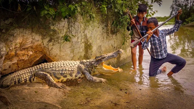 شاهد| لحظات تحبس الأنفاس لهجمات تماسيح على البشر