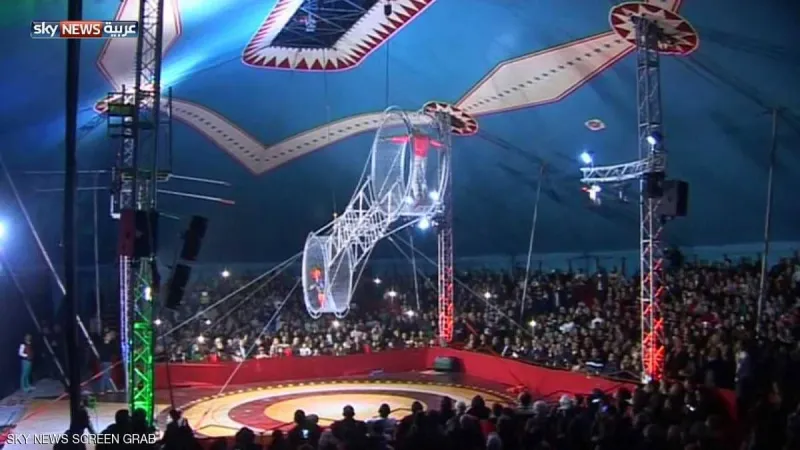 شاهد| عرض استعراضي لدب يتحول معركة مع 3 مدربين.. فمن ينتصر؟