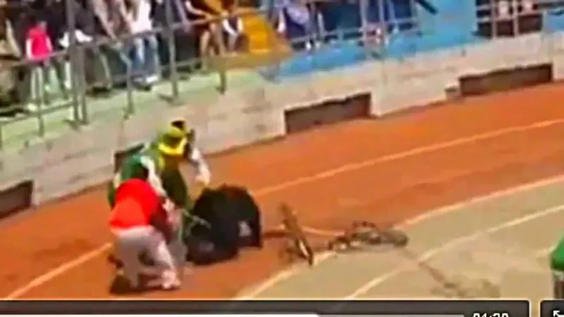 شاهد| عرض استعراضي لدب يتحول معركة مع 3 مدربين.. فمن ينتصر؟