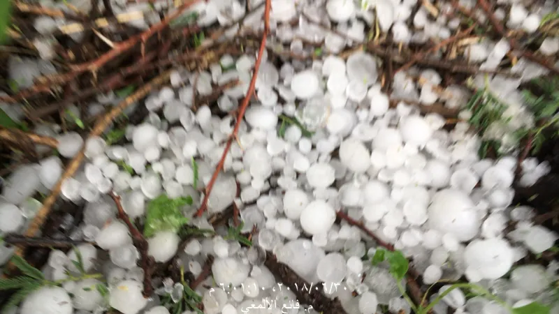 شاهد| حبات الثلج تطفأ لهيب الحراراة في عسير السعودية