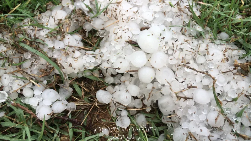 شاهد| حبات الثلج تطفأ لهيب الحراراة في عسير السعودية