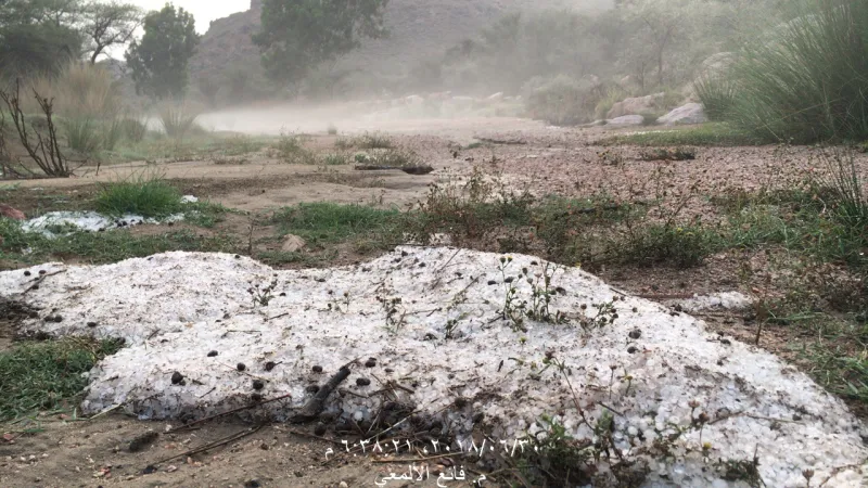 شاهد| حبات الثلج تطفأ لهيب الحراراة في عسير السعودية