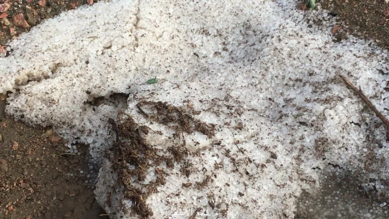 شاهد| حبات الثلج تطفأ لهيب الحراراة في عسير السعودية
