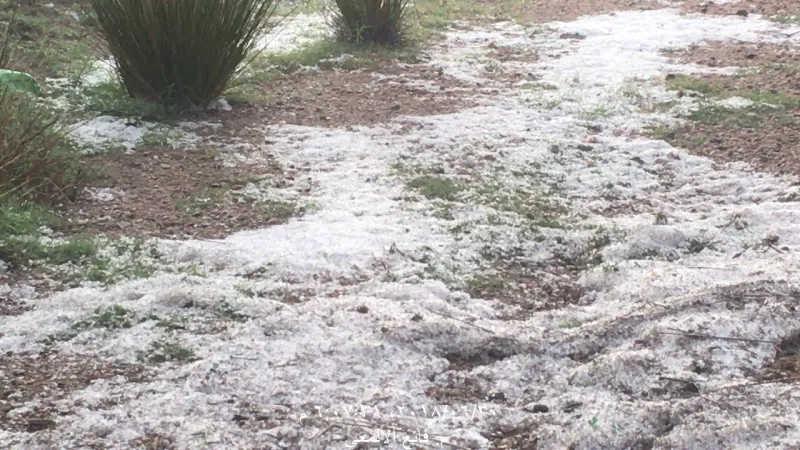 شاهد| حبات الثلج تطفأ لهيب الحراراة في عسير السعودية