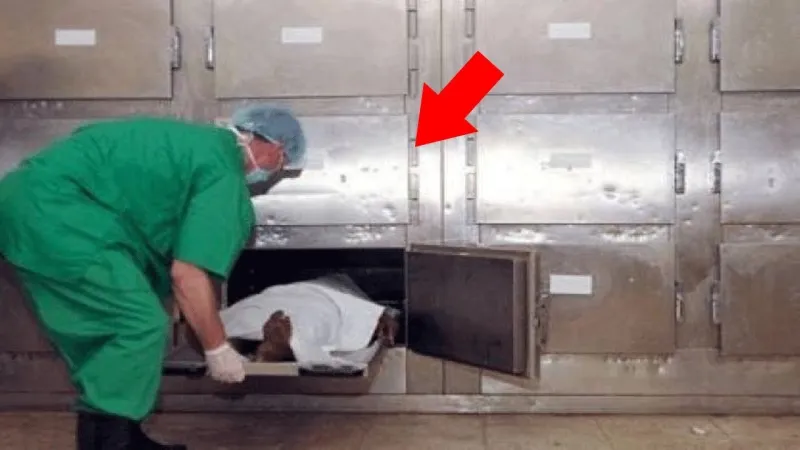 بعد إعلان وفاتها.. جنوب أفريقية تعود للحياة  مرة أخرى بعد إيداعها ثلاجة الموتى