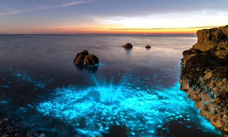 لماذا تتوهج مياه البحر الأيرلندي باللون الأزرق البراق؟ (فيديو)