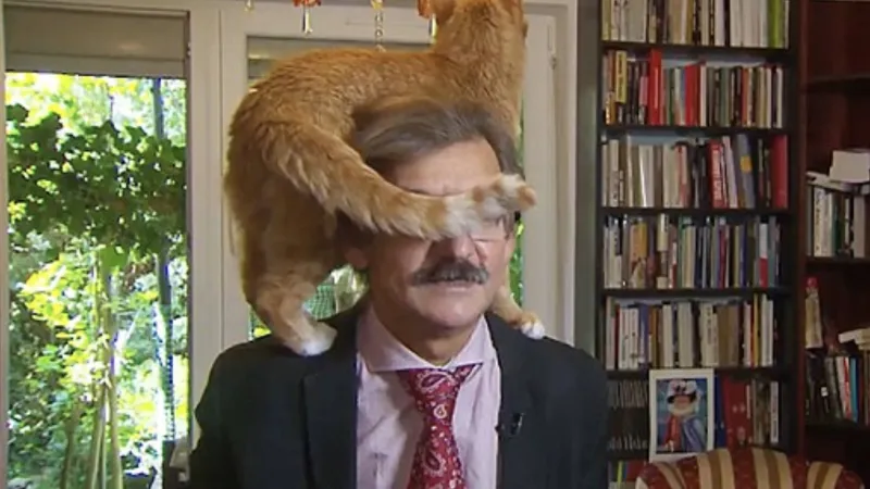 شاهد| قط يتسلق كتف صاحبه أثناء مقابلة تلفزيونية ويضعه في موقف محرج