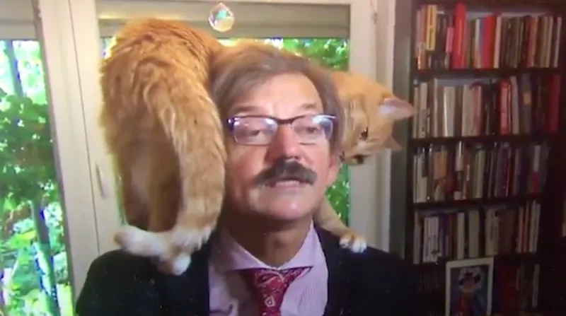 شاهد| قط يتسلق كتف صاحبه أثناء مقابلة تلفزيونية ويضعه في موقف محرج