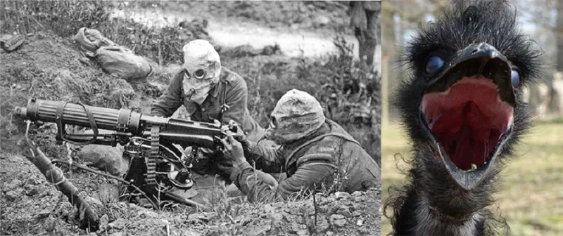 بعضها اندلع لأسباب تافهة.. أغرب 5 حروب في تاريخ البشرية 