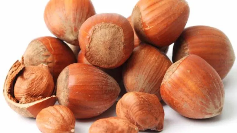 تناول هذه الأطعمة يزيد الخصوبة عند الرجال ويرفع من قدرتهم على الإنجاب