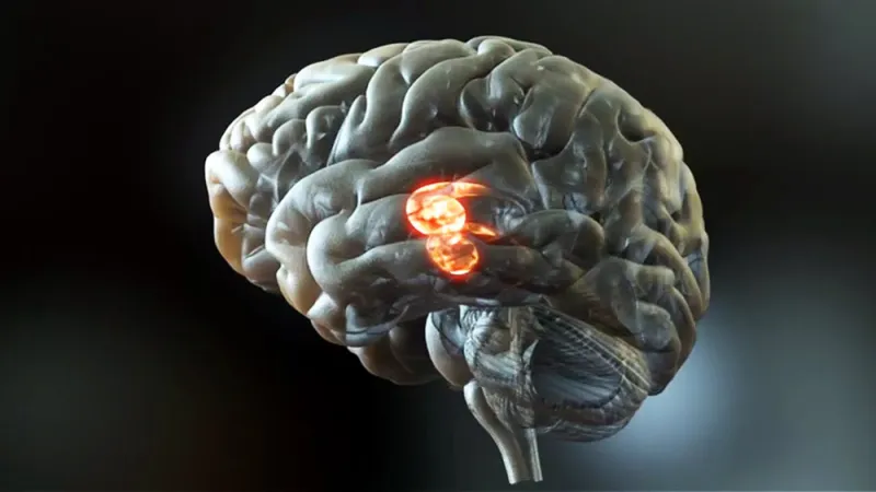 لماذا تتحول الجمل المكررة الى أغنية في عقولنا؟ 