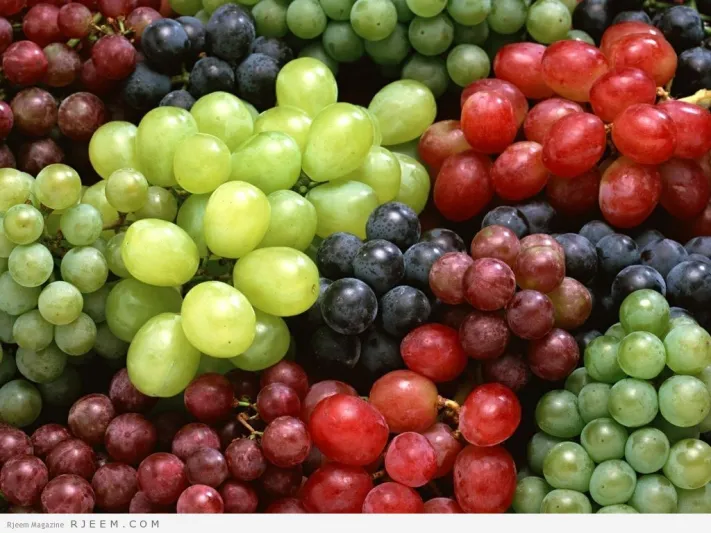 بذور العنب.. كنزٌ ثمين من الفوائد القيّمة والمفيدة والصّحية