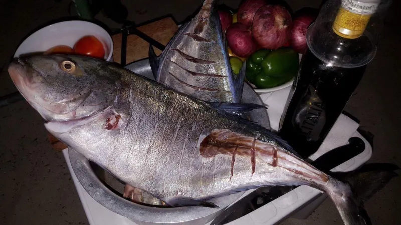 كيف خفف رائد الأعمال البحريني  محمد طريف  المعاناة التي يواجهها الصيادون لبيع الأسماك؟