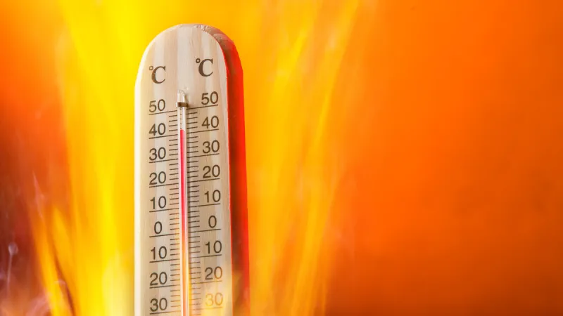 موجة حر مميتة تجتاح اليابان.. كيف تواجه السلطات الأمر ؟