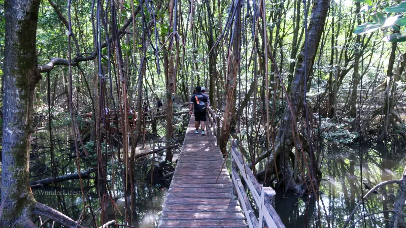 بروناي.. بلد صغير يحتضن حضارة عظيمة