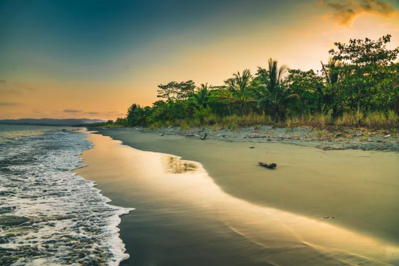 شبه جزيرة أوسا في كوستاريكا.. الطبيعة في أجمل صورها