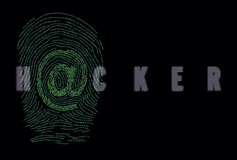 عصابة جورجون تطلق من باكستان هجمات تستهداف القطاع الحكومي في عدّة دول