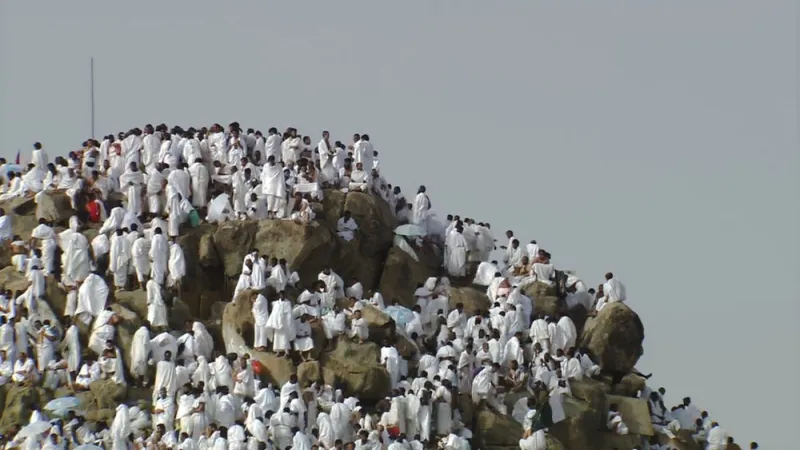 موسم الحج ٢٠١٨ بالأرقام 