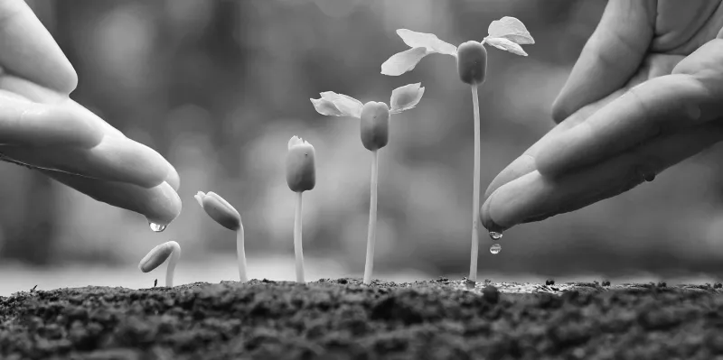 نصيحة المليارديرات تجاه المال.. لا للادخار