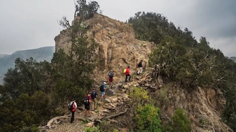 خلافا للاعتقاد السائد.. جبل فرواع هو القمة الأعلى في السعودية