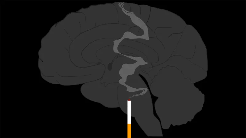احذر من تأثير النيكوتين على صحة الدماغ