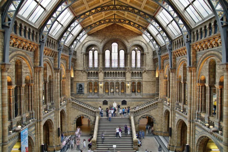 حريق المتحف الوطني بالبرازيل.. كارثة «ثقافية تاريخية حضارية واقتصادية»