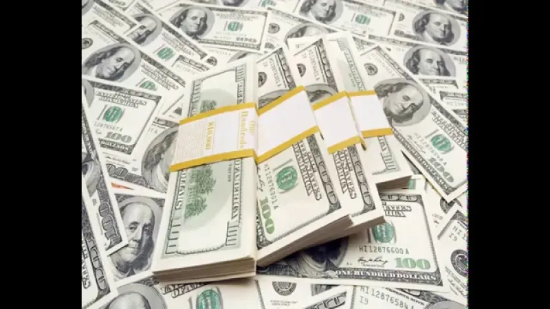 المرأة القطة.. كيف تحولت من صاحبة ثروة طائلة لإعلان إفلاسها؟