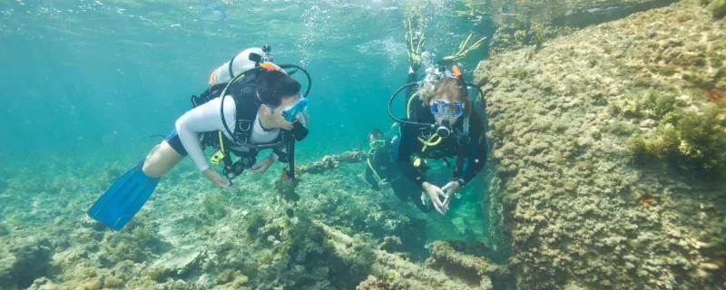 لعشاق التخييم..4 مواقع في الإمارات ستنسيك همومك (صور)