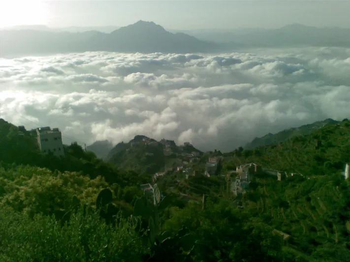 دليلك لزيارة المناطق الأكثر جمالا في عسير السعودية (صور)