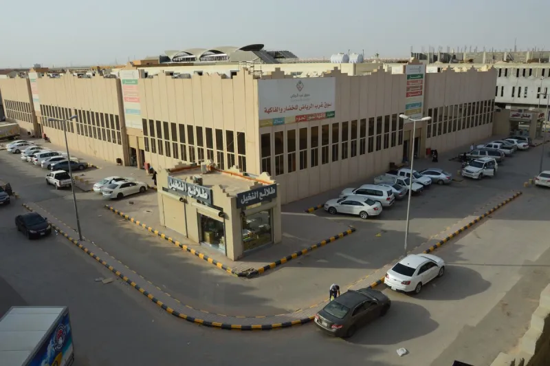 هل تريد بناء منزل في الرياض؟.. دليلك لأفضل الأماكن