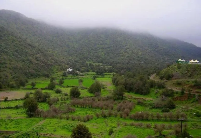 دليلك لزيارة المناطق الأكثر جمالا في عسير السعودية (صور)