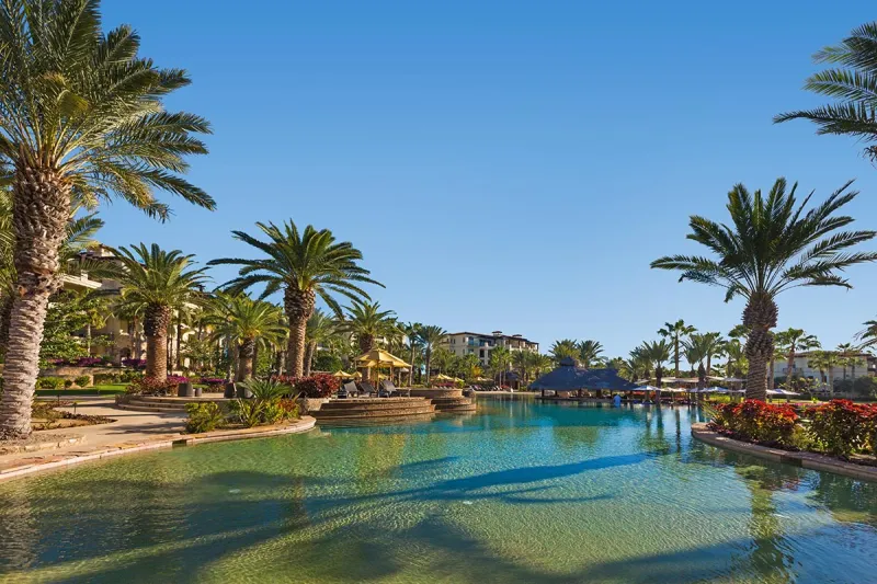 إزالة الزائدة الدودية شرطًا للعيش في هذه الدولة