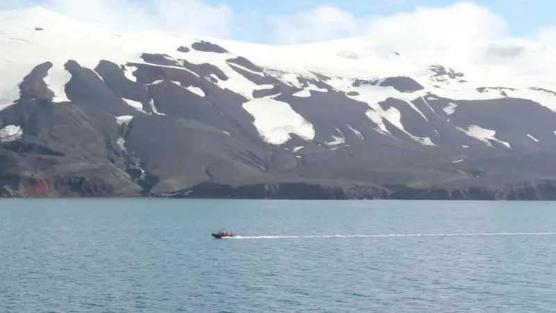 إزالة الزائدة الدودية شرطًا للعيش في هذه الدولة
