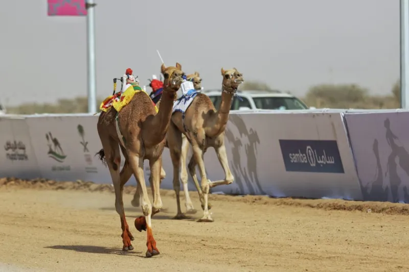 تأسيس اتحاد دولي للهجن برئاسة السعودية و بمشاركة 13 دولة
