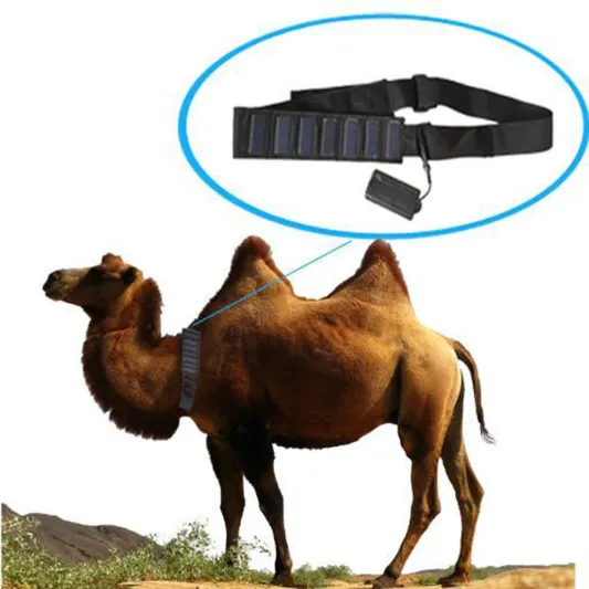 7 إنجازات سعودية في مجال التكنولوجيا