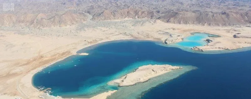 ماذا قالت "بلومبيرغ" عن مشروع "أمالا" السياحي الجديد؟