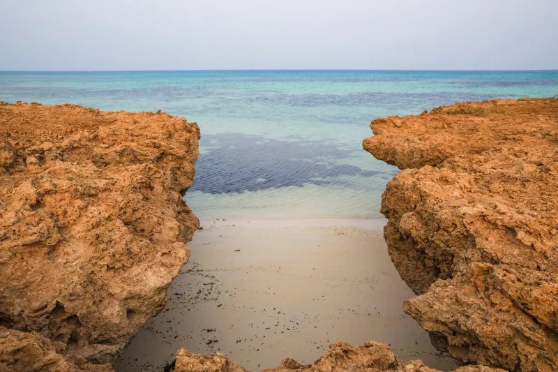 جزيرة داركة.. طبيعة بِكر ومناظر ساحرة وإطلالة ذهبية