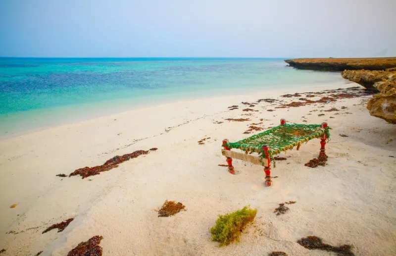 جزيرة داركة.. طبيعة بِكر ومناظر ساحرة وإطلالة ذهبية