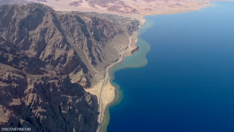 من هم أعضاء المجلس الاستشاري لمشروع "نيوم" العملاق؟ (إنفوجراف)