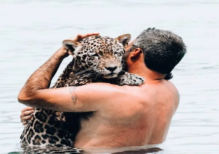 منتجع سياحى يتيح لك فرصة السباحة مع الحيوانات المفترسة (صور)