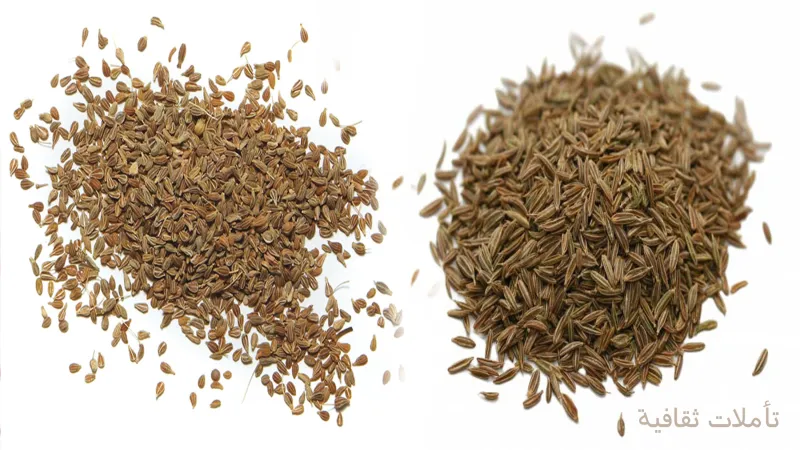 يستخدم منذ عهد الفراعنة.. فوائد اليانسون المغلي للرجال