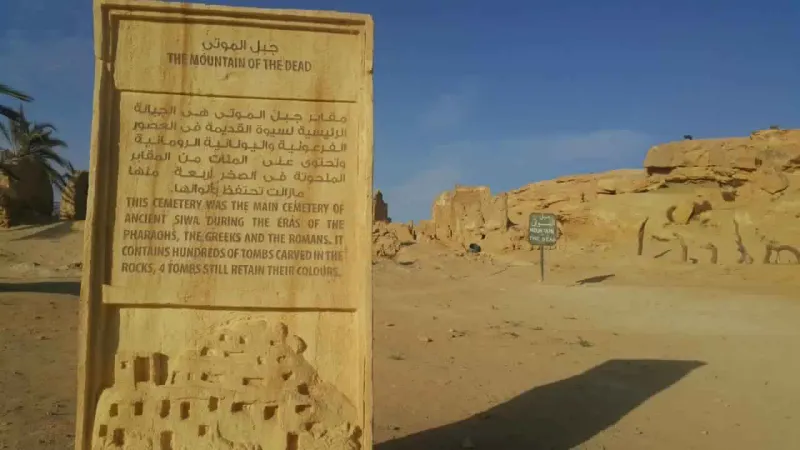 صفحات بعبق التاريخ.. كتاب يعود للعصر الفرعوني يتجاوز سعره 1.3 مليون يورو