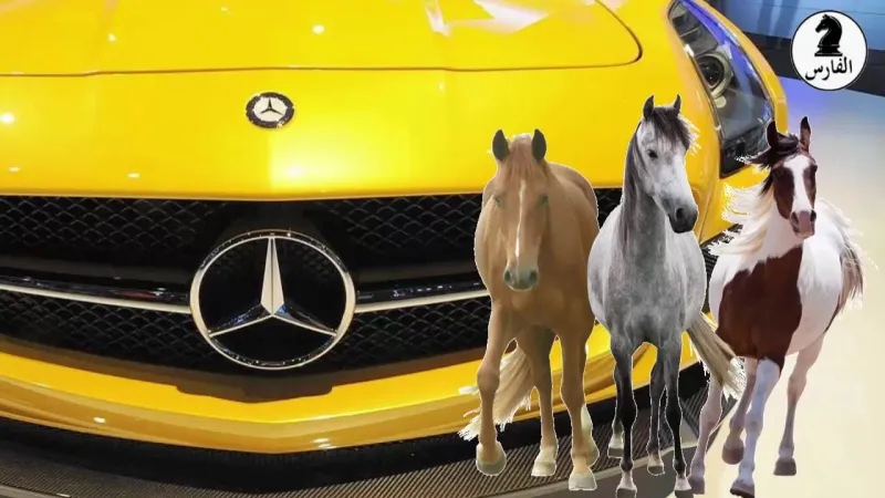 الحصان والسيارات.. قصة عجيبة كانت سببًا في اختيار هذا الحيوان لقياس قوة المحركات